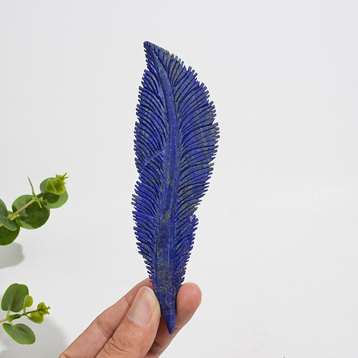 Unique,Natural Crystal Carving Lapis Lazuli Feather