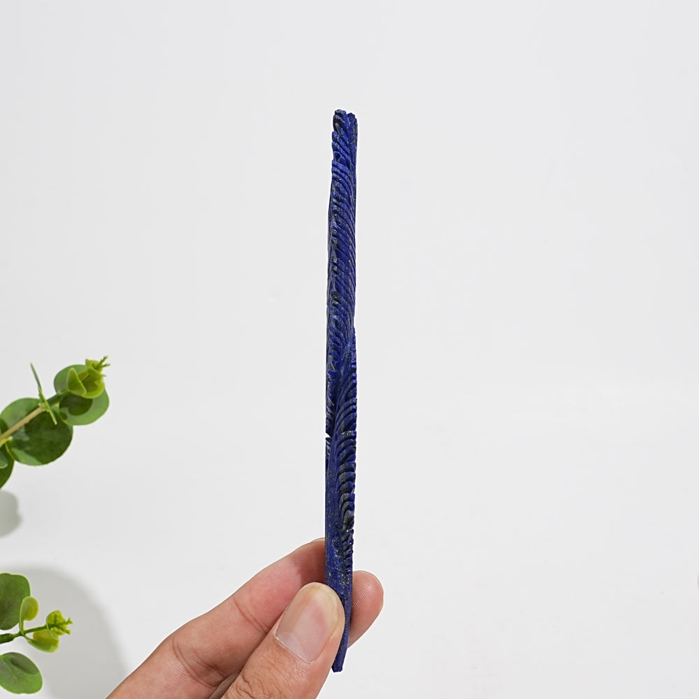 Unique,Natural Crystal Carving Lapis Lazuli Feather