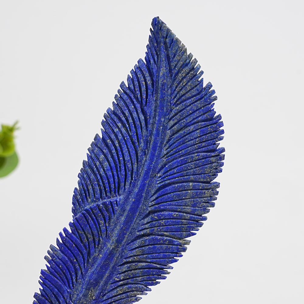 Unique,Natural Crystal Carving Lapis Lazuli Feather