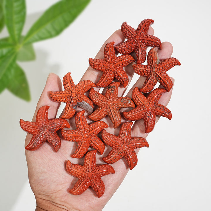 Natural Crystal Carving Red Jasper Starfish