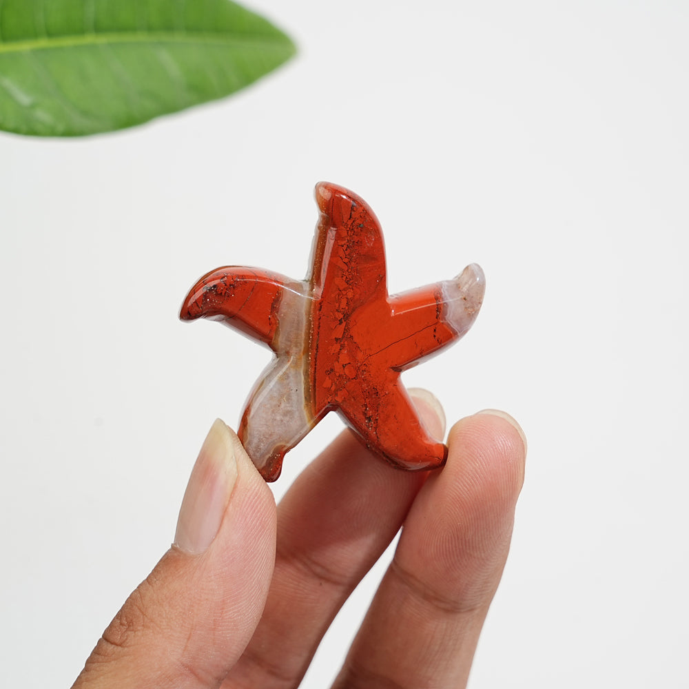 Natural Crystal Carving Red Jasper Starfish