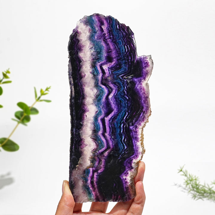 Unique,Natural Crystal Stunning Fluorite Slice