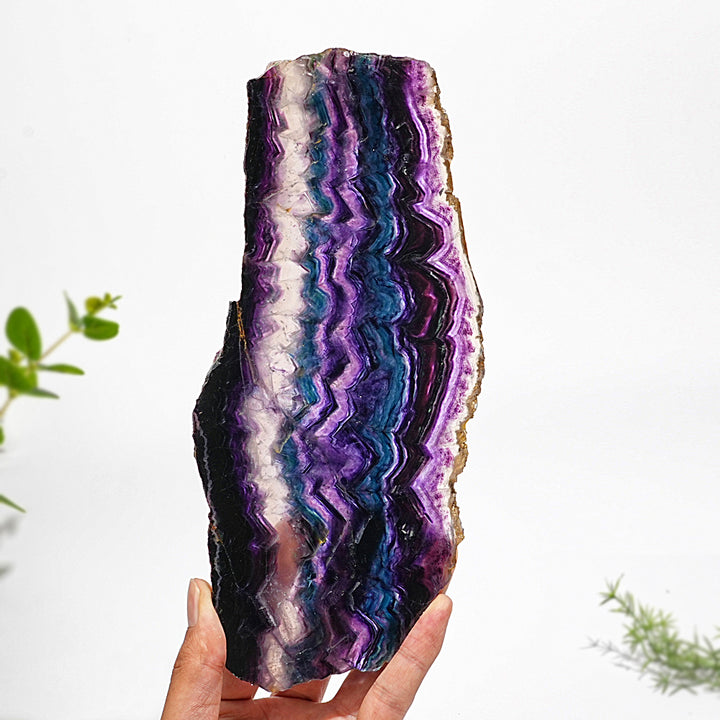 Unique,Natural Crystal Stunning Fluorite Slice
