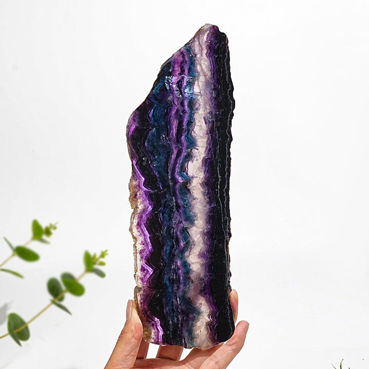 Unique,Natural Crystal Stunning Fluorite Slice