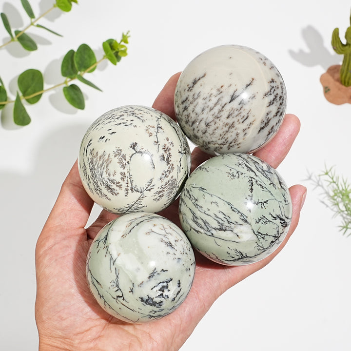 Natural Serene Green Dendritic Calcite Crystal Sphere