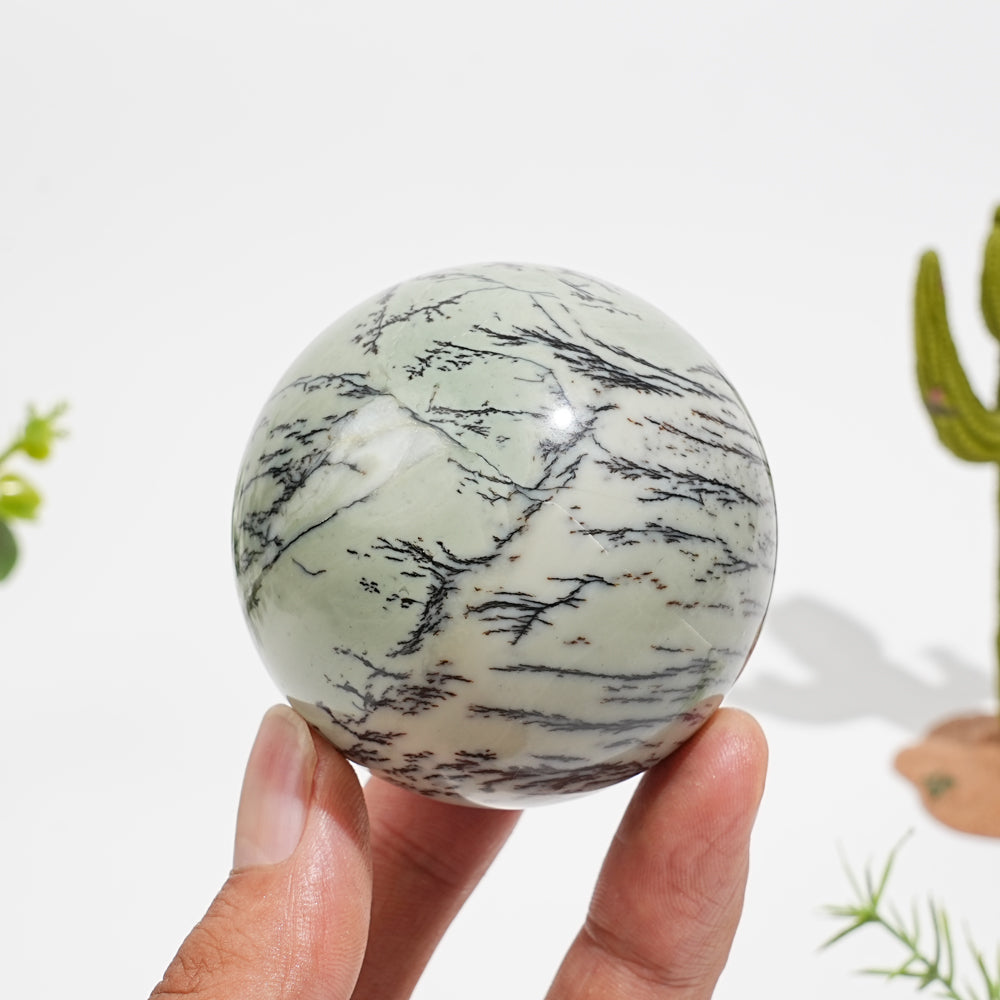 Natural Serene Green Dendritic Calcite Crystal Sphere