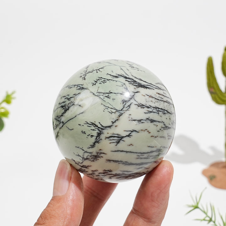 Natural Serene Green Dendritic Calcite Crystal Sphere