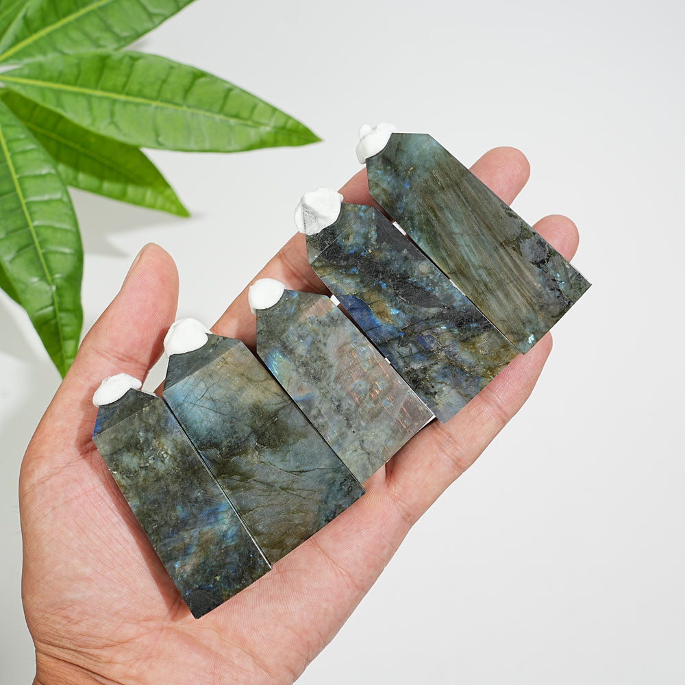 Natural Labradorite Small Point