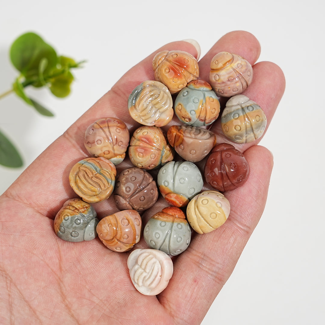 Natural Crystal Carving Alashan Agate Ladybug