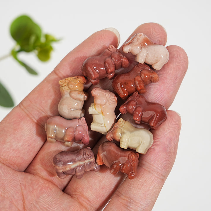 Natural Crystal Lovely Carving Alashan Agate Hippo