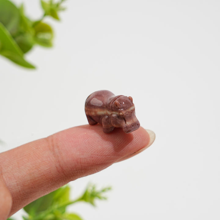 Natural Crystal Lovely Carving Alashan Agate Hippo