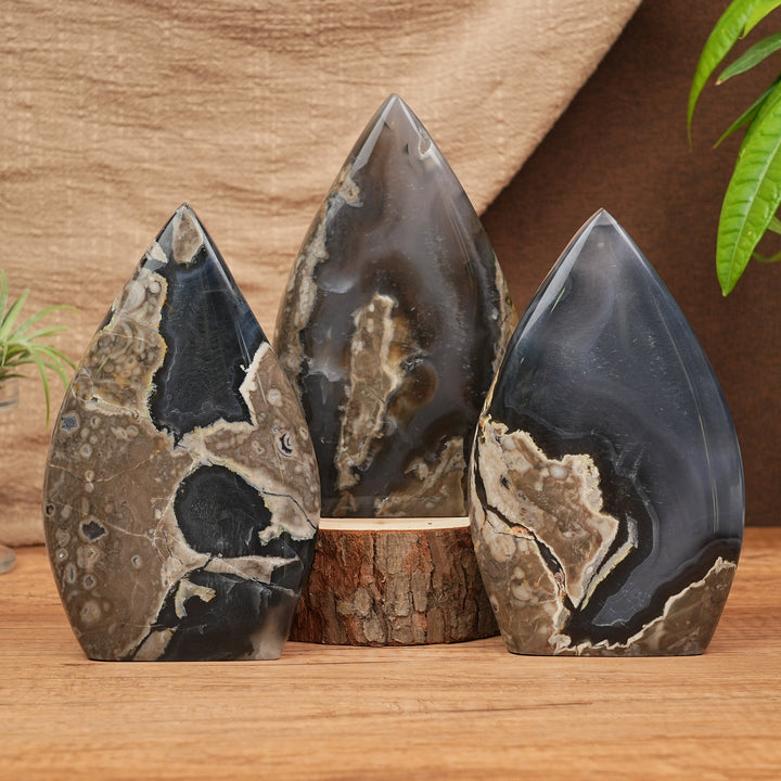 Larme d'agate mousse