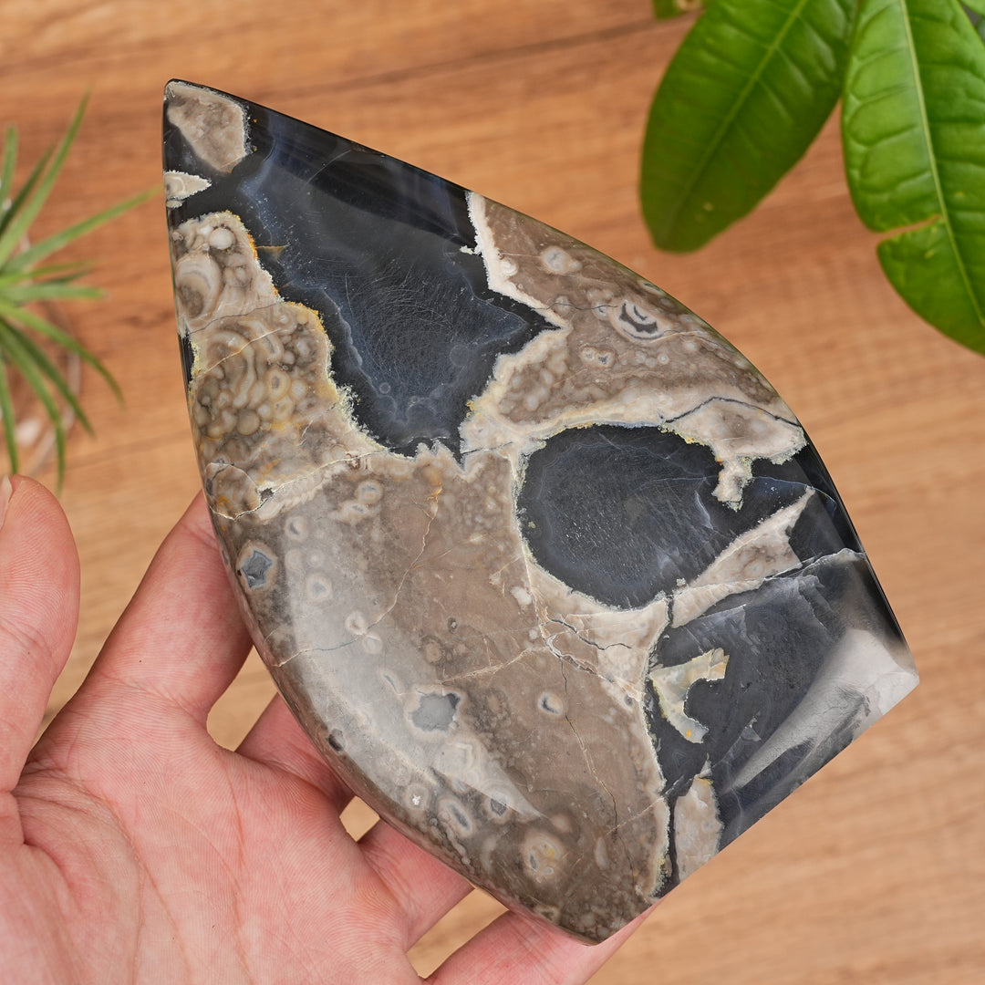 Larme d'agate mousse