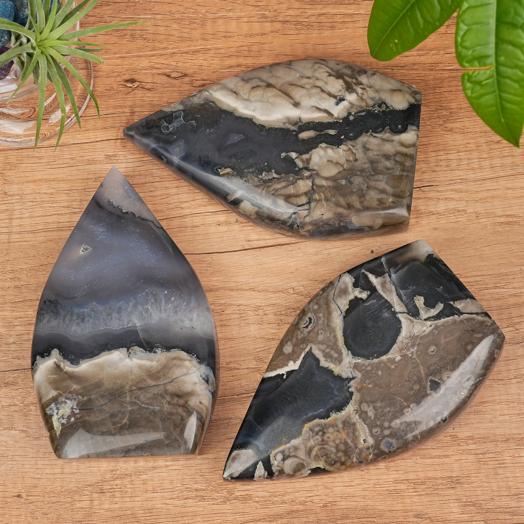 Larme d'agate mousse