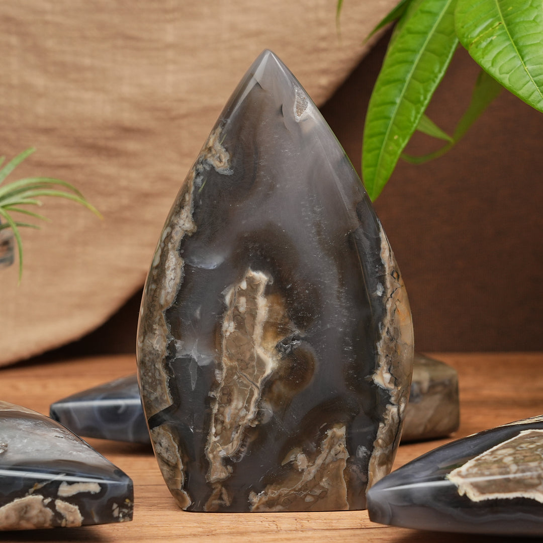 Larme d'agate mousse