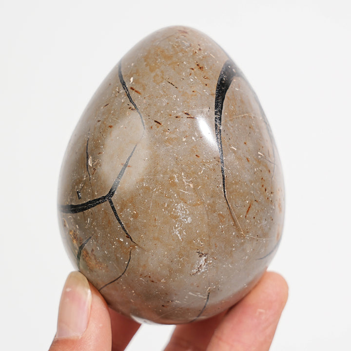 Unique,Natural Crystal Septarian Egg