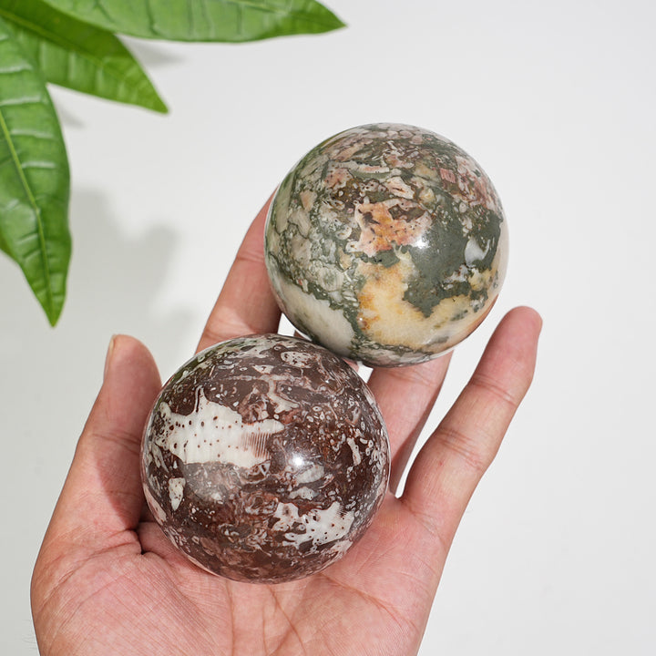 Natural Crystal Round Crinoid Fossil Sphere