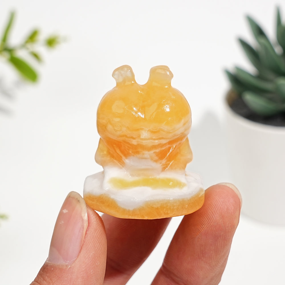 Natural Crystal Carving Heart Skull