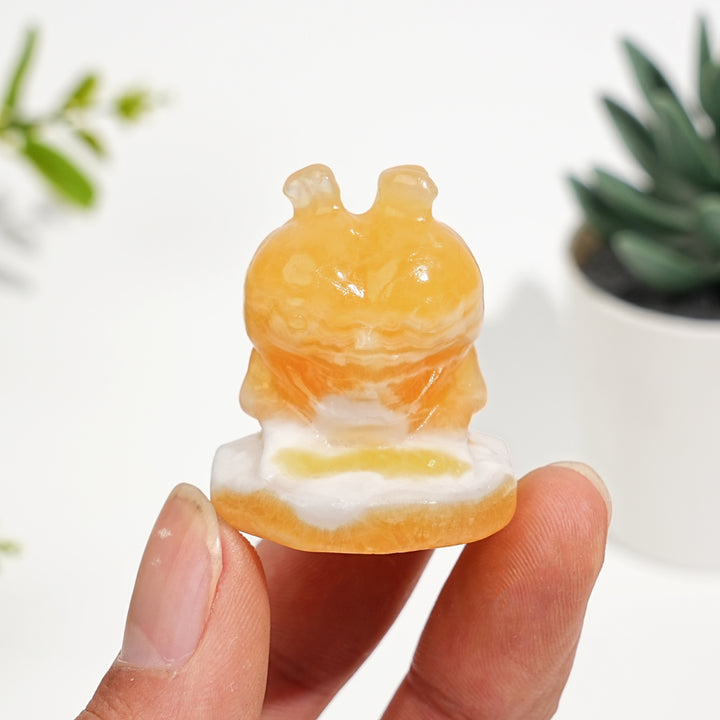 Natural Crystal Carving Heart Skull