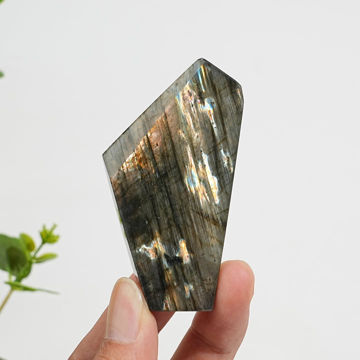 Unique,Natural Crystal Labradorite Freeform