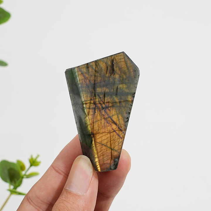 Unique,Natural Crystal Labradorite Freeform