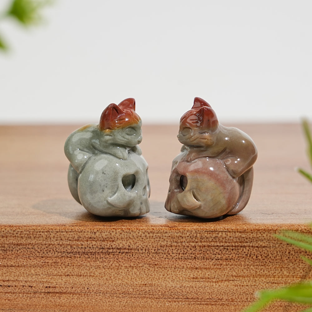 Natural Crystal Carving Alashan Agate Cat On Skull