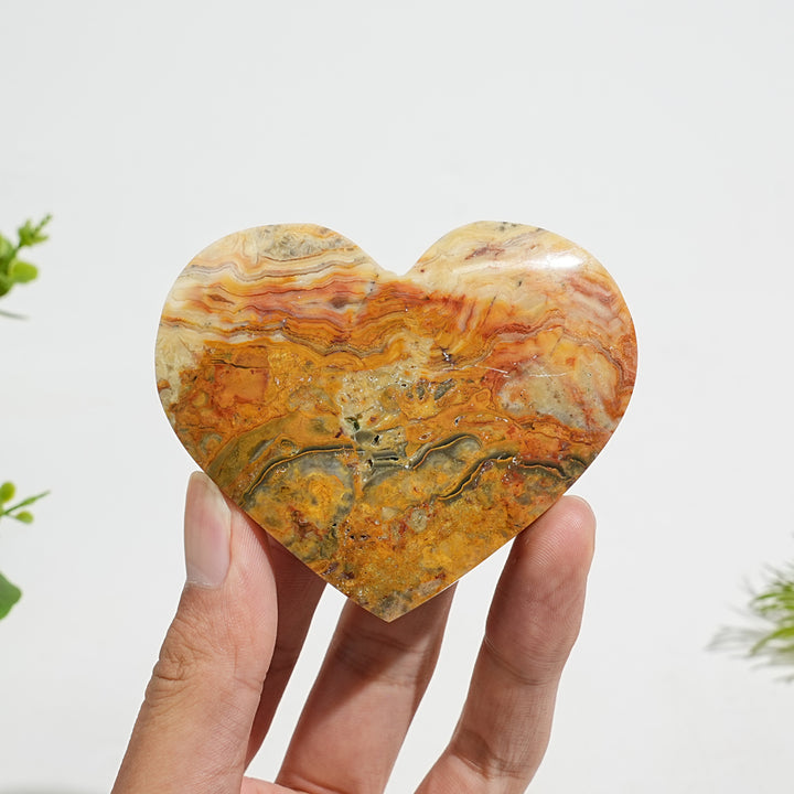 Natural Crystal Exquisite Crazy Agate Heart