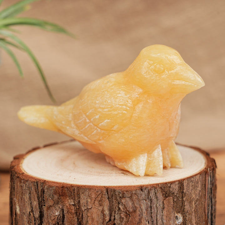 Natural Carving Crystal Peace Dove