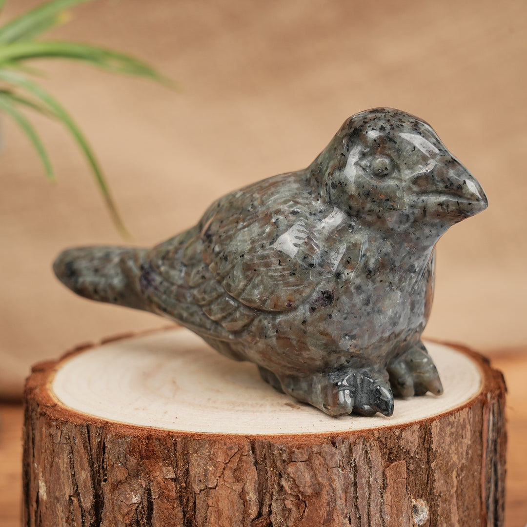 Natural Carving Crystal Peace Dove