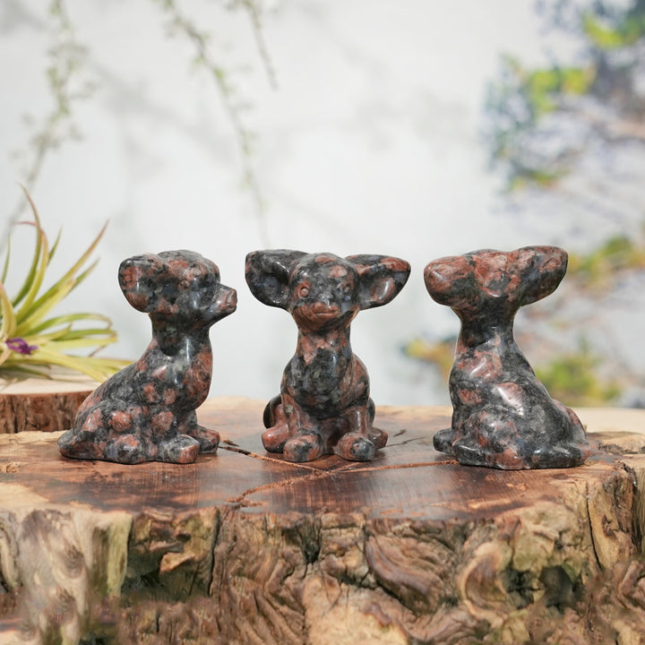 Natural Carving Red Que Sera Chihuahua