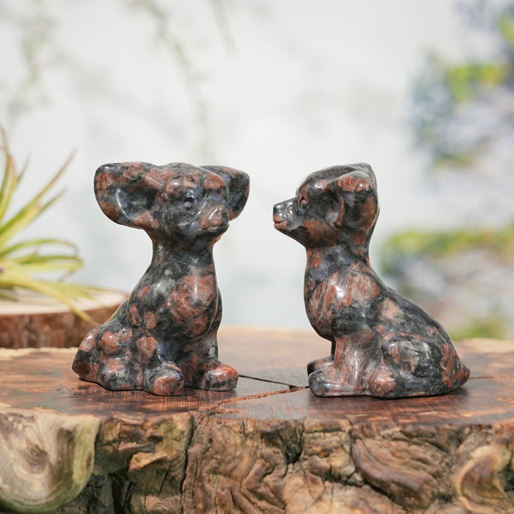 Natural Carving Red Que Sera Chihuahua