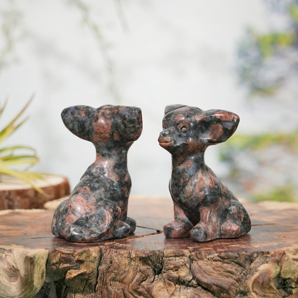 Natural Carving Red Que Sera Chihuahua