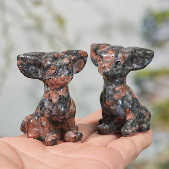 Natural Carving Red Que Sera Chihuahua