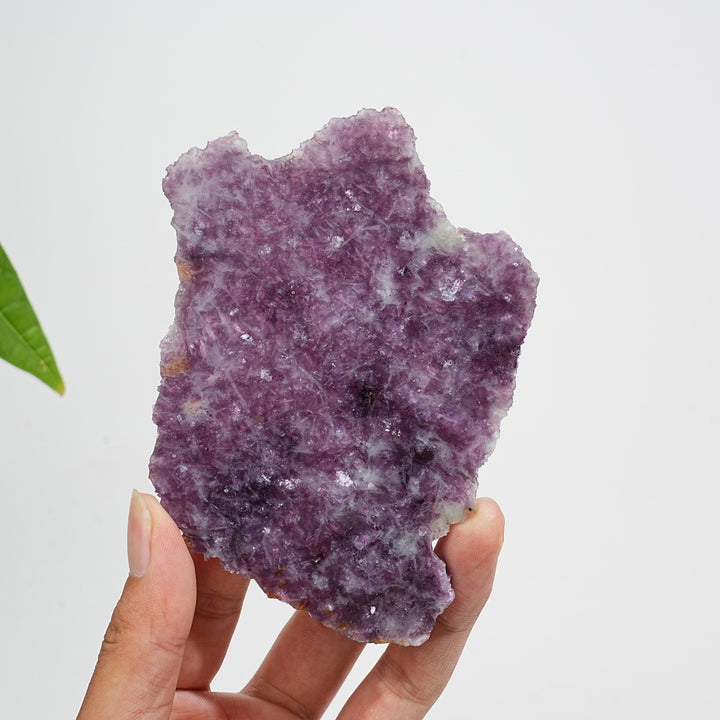 Unique,Natural Lepidolite Slices