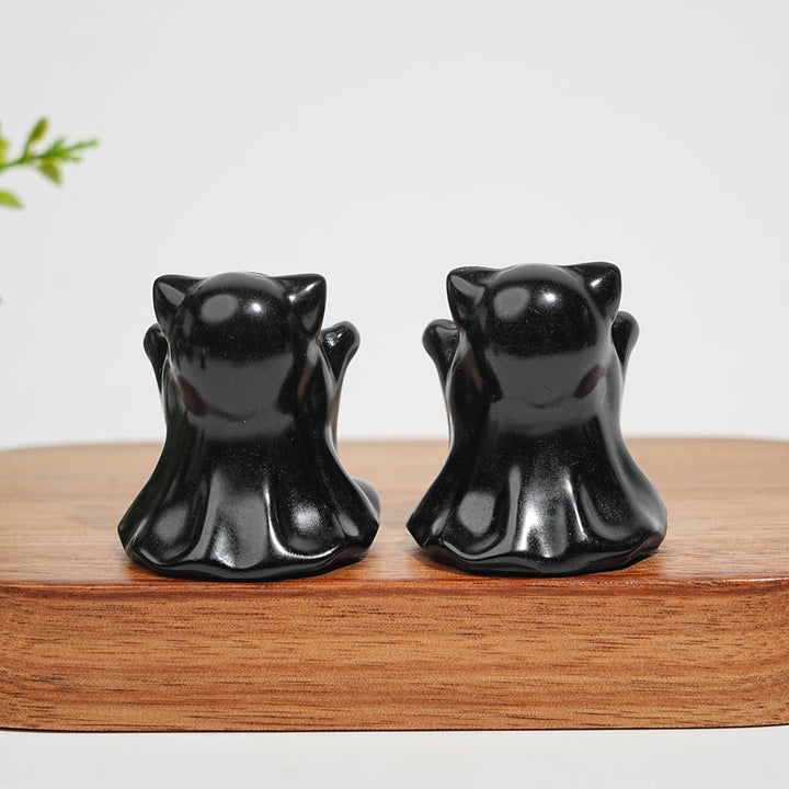 Natural Crystal Black Obsidian Ghost Cat