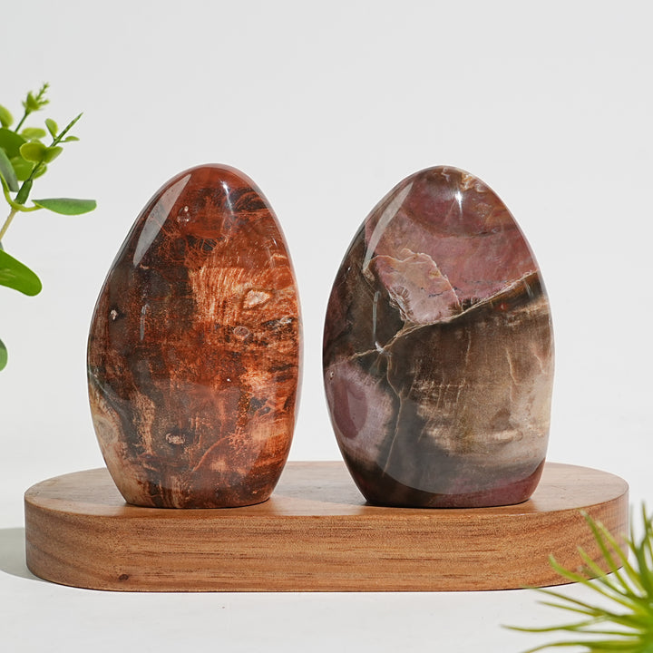 Unique,Natural Crystal Petrified Wood Ornament