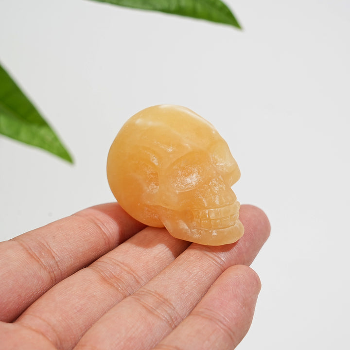 Natural Crystal Lifelike Skull Carving