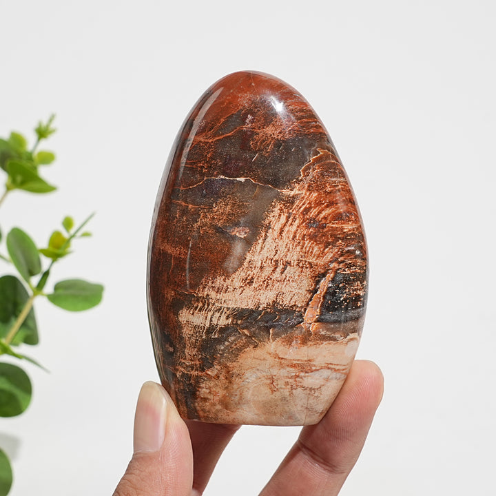 Unique,Natural Crystal Petrified Wood Ornament