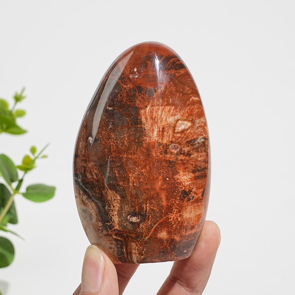 Unique,Natural Crystal Petrified Wood Ornament