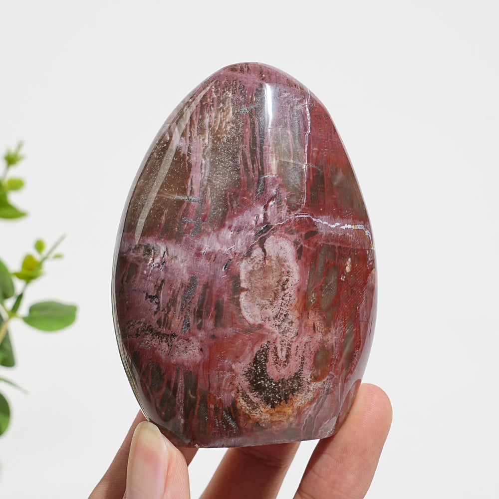 Unique,Natural Crystal Petrified Wood Ornament