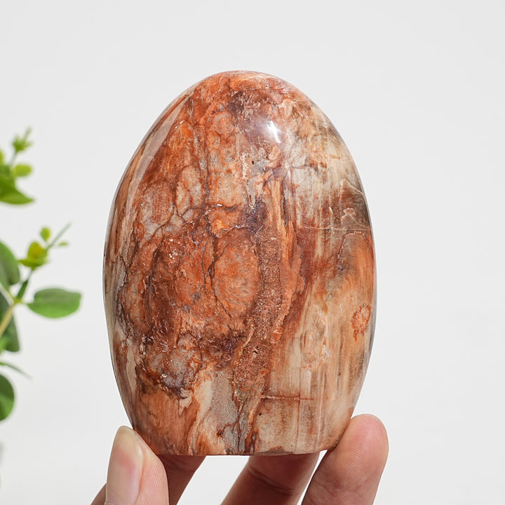 Unique,Natural Crystal Petrified Wood Ornament