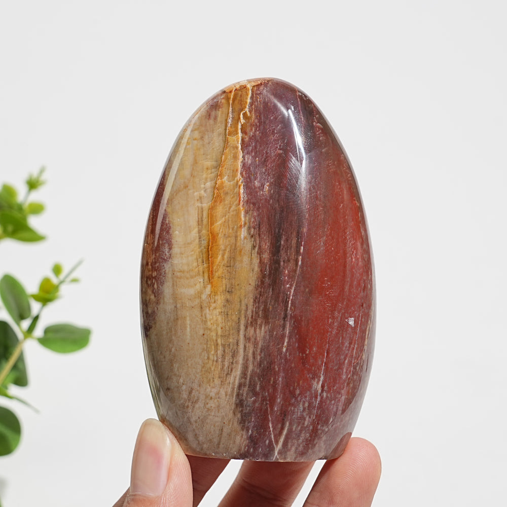 Unique,Natural Crystal Petrified Wood Ornament