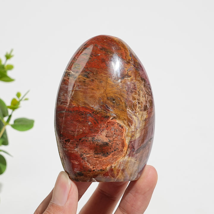 Unique,Natural Crystal Petrified Wood Ornament