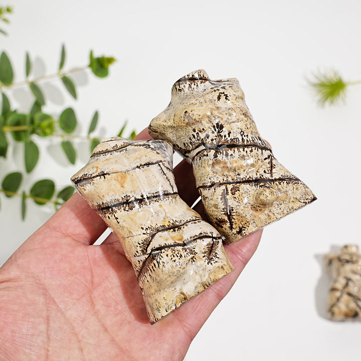 Natural Crystal Picture Jasper Male Torso