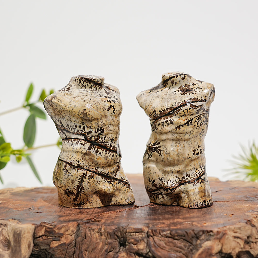 Natural Crystal Picture Jasper Male Torso