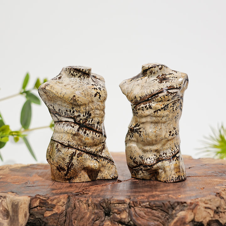 Natural Crystal Picture Jasper Male Torso