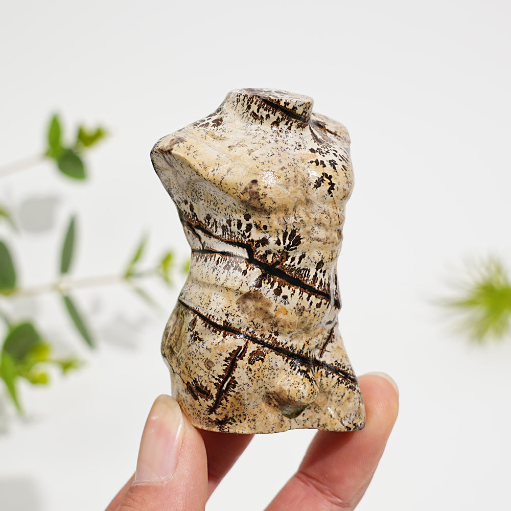 Natural Crystal Picture Jasper Male Torso