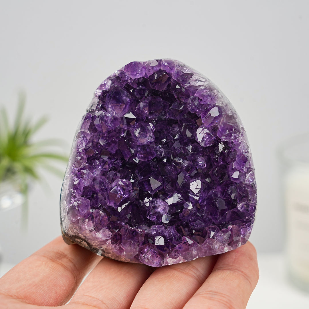 Natural Top Amethyst Cluster