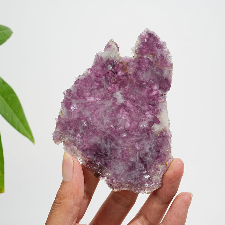 Unique,Natural Lepidolite Slices