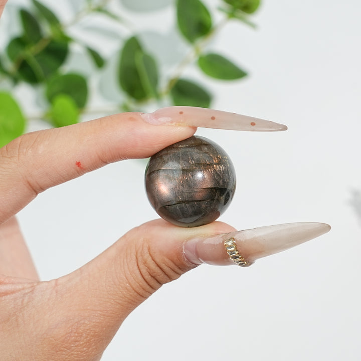 22MM+ Natural Mini Labradorite Sphere